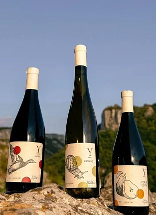 Встреча с виноделом: Виталий Маринчук, YAIYLA на 1й Брестской