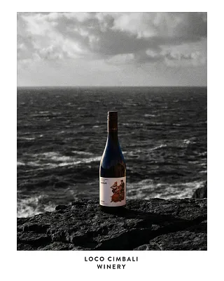 Loco Cimbali Winery. Дегустация новинок на 1й Брестской