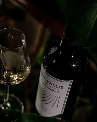 Винодельня Uva Vallis. Дегустация на Бауманской Винодельня Uva Vallis. Дегустация на Бауманской