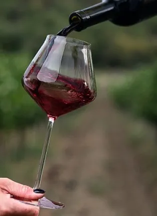 Усадьба Мангуп. Бауманская улица