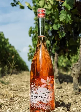 Премьера винодельни «Сухая Гора». Бауманская улица