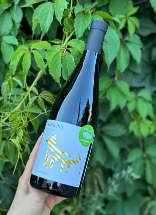 Вина Villa di Alma на Бауманской