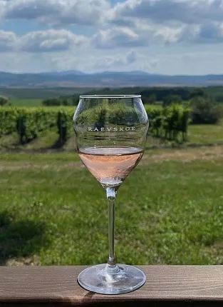 Винодельня «Раевское». Дегустация на Люсиновской