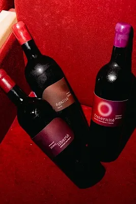 Винодельня «Остров». Дегустация на 1й Брестской