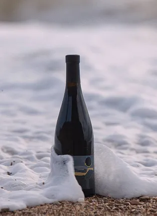 Винодельня AYA. Дегустация на 1й Брестской