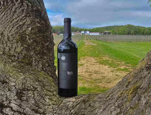 Встреча с виноделом: Владимир Гунько. Опыт и инновации Gunko Winery на 1й Брестской Встреча с виноделом: Владимир Гунько. Опыт и инновации Gunko Winery на 1й Брестской
