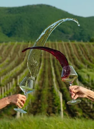 Вина Олега Репина и Рема Акчурина на Люсиновской