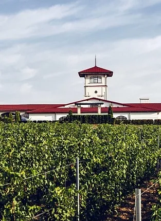 Свой характер, своя философия: вина долины Лефкадии на Люсиновской