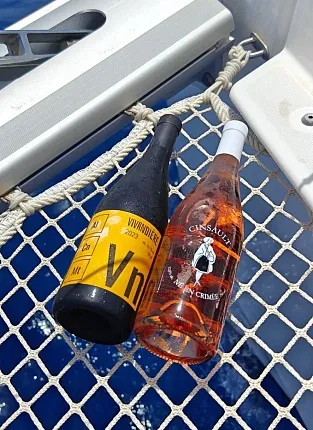 Новинки Domaine de la Vivandiere на Бауманской