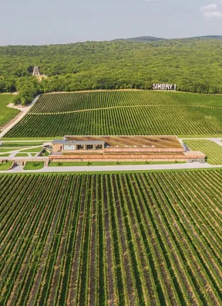 «Имение Сикоры». Люсиновская улица