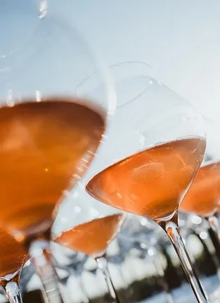 Дегустация вин UPPA Winery на 1-й Брестской в Москве