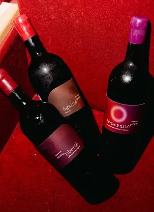 Винодельня «Остров». Дегустация на 1й Брестской