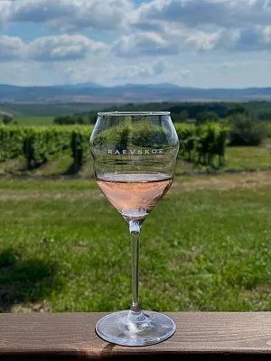 Винодельня «Раевское». Дегустация на 1й Брестской