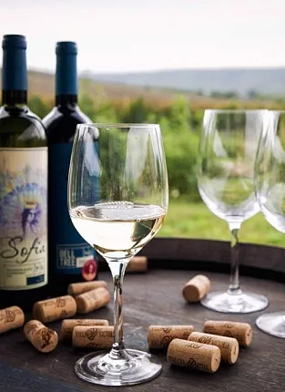 Вина Семигорья. Villa Victoria на 1-й Брестской