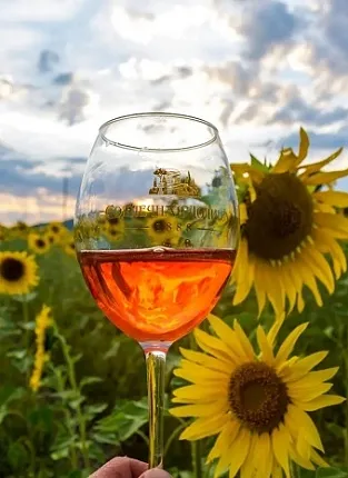 Дегустация вин «Солнечная Долина» на Боровском