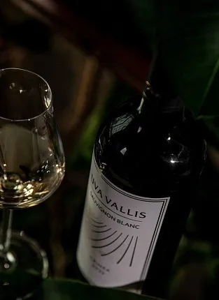 UVA Vallis. Дегустация на 1й Брестской