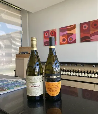 Виноградники Гай-Кодзора. Дегустация на 1й Брестской