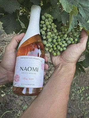 Встреча с виноделом: Аарон Коффман, WINEMAFIA на 1й Брестской Встреча с виноделом: Аарон Коффман, WINEMAFIA на 1й Брестской