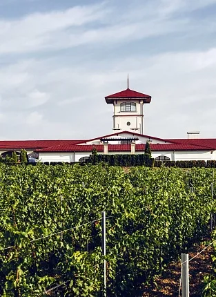 Премиальные вина «Лефкадии» на проспекте Мира