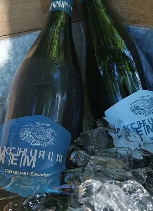 Rem Akchurin. Дегустация на Бауманской