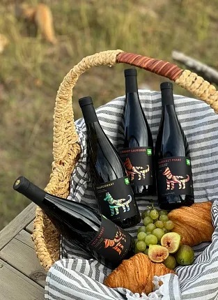 Новинки от Villa di Alma: жемчужные и резервные вина