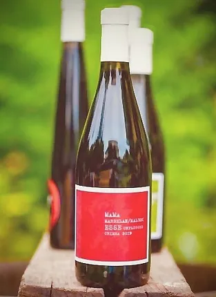 ESSE Unplugged. Дегустация вина в Мытищах