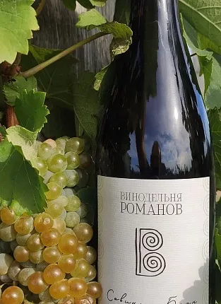 Винодельня Романов. Дегустация на 1-й Брестской