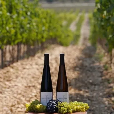 Domaine Lipko: встреча с виноделом на Бауманской Domaine Lipko: встреча с виноделом на Бауманской