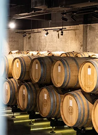 Стили Ркацители на Боровском